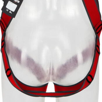 3M1161731保泰特P200五點式全身式安全帶XL紅色圖片1