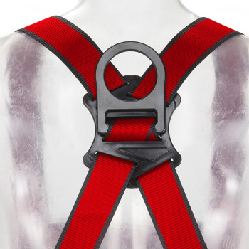 3M1161729保泰特P200五點式全身式安全帶圖片4