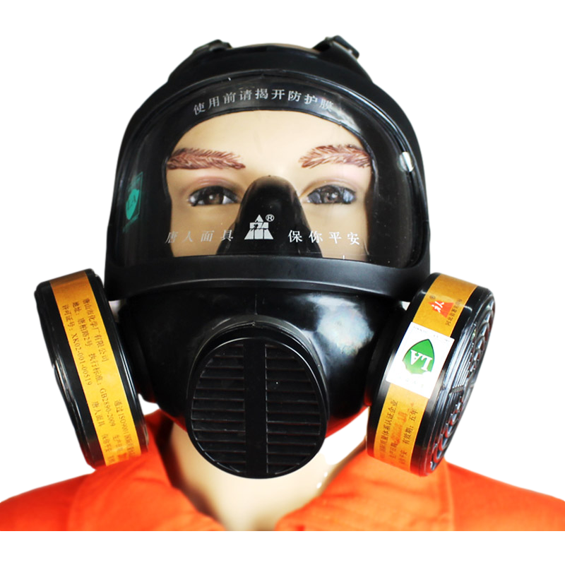 唐人TF4D過(guò)濾式防毒面具圖片4