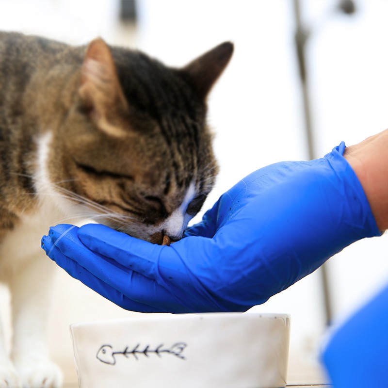 愛馬斯XNFST46100加厚一次性丁腈手套圖片2