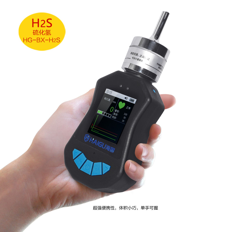 海固HG-BX-H2S硫化氫泵吸式氣體檢測(cè)儀圖片2