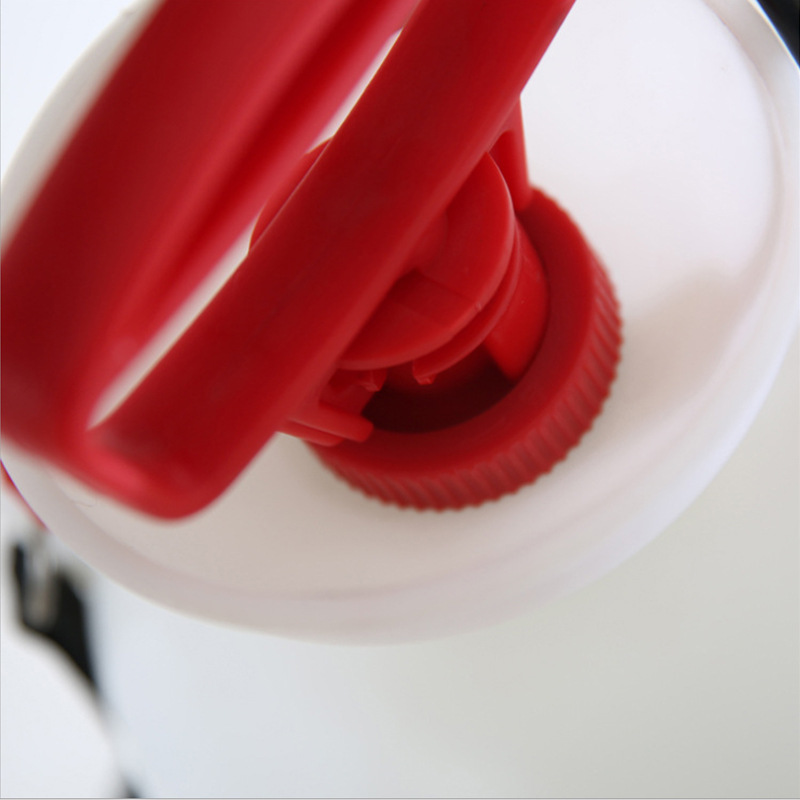 市下SX-CS3B 3L手動(dòng)肩負(fù)壓縮式噴霧器圖片4