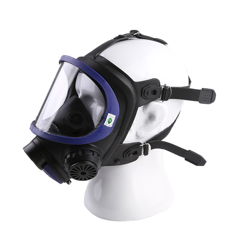 生寶M600防毒面具圖片2