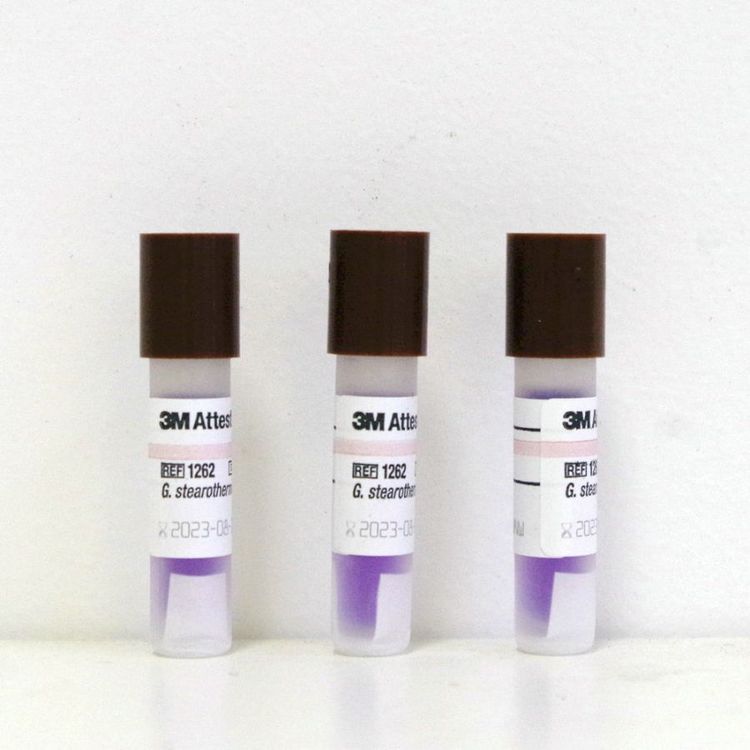 3M1262壓力蒸汽滅菌生物培養指示劑圖片2