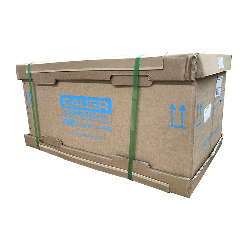 梅思安10181242空氣壓縮機(jī)MSA100TW單相電機(jī)充氣泵圖片3