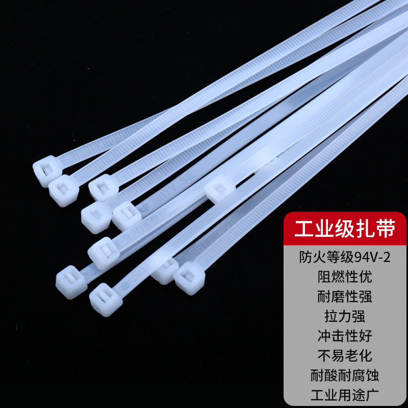 尼龍?jiān)鷰О咨猃埨υ鷰ё枣i式扎帶圖片2