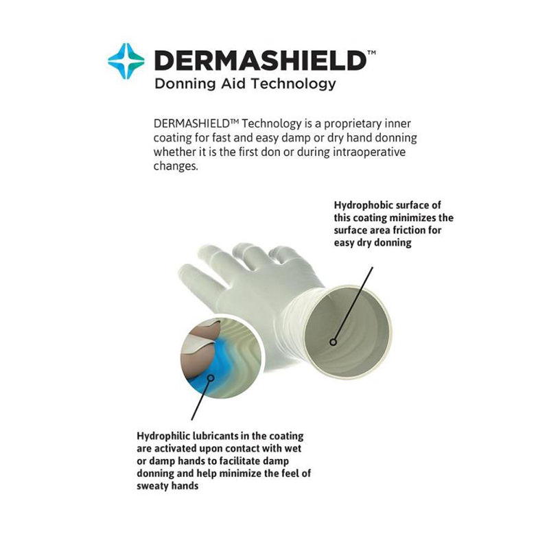 安思爾GAMMEX 340006080氯丁橡膠外科手套圖片3