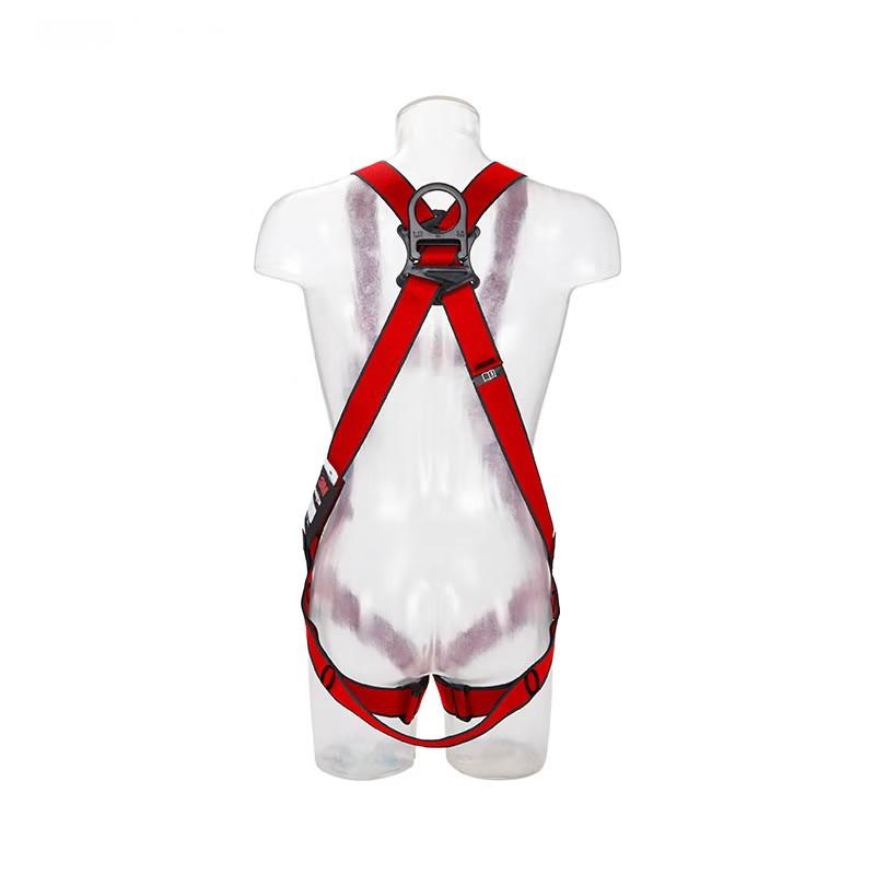 3M1161730保泰特P200五點式全身式安全帶圖片1