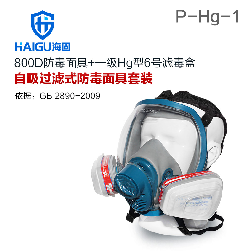 海固HG-800D P-Hg-1全面罩水銀防毒面具