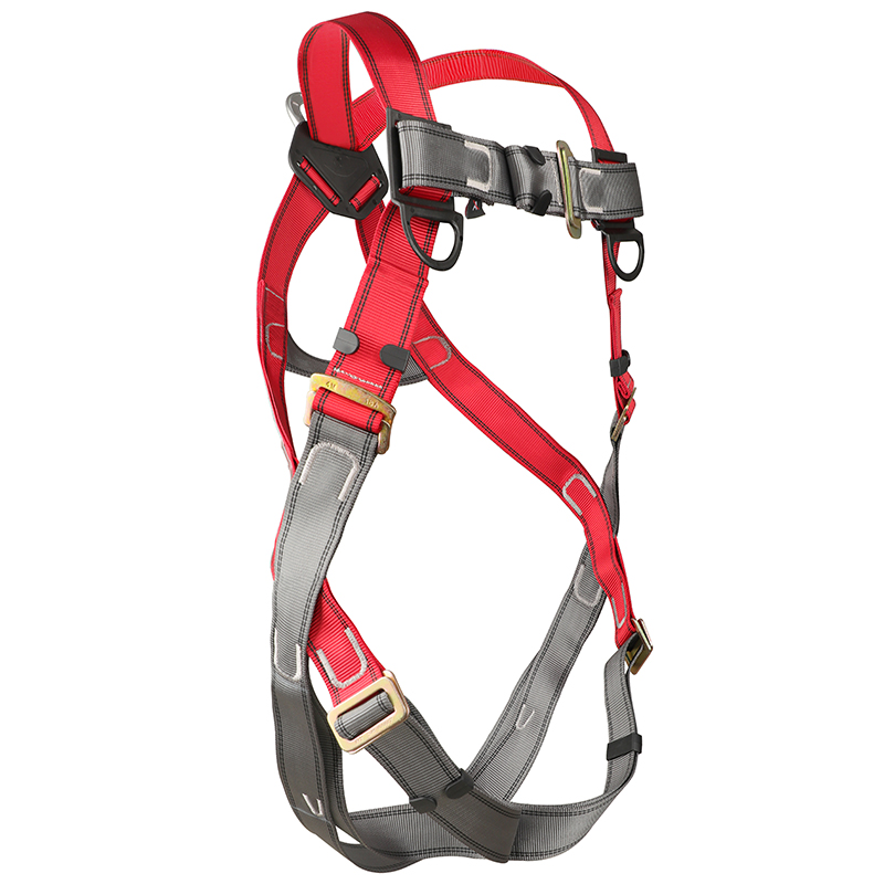 羿科60816701 PN10全身式安全帶
