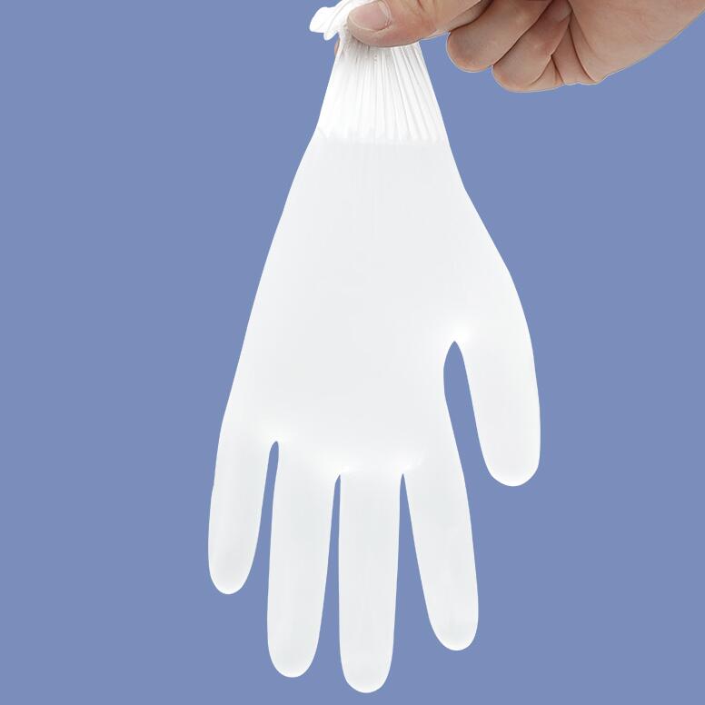 穩健604-009034一次性PVC手套