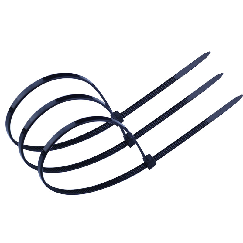 尼龍?jiān)鷰О咨猃埨υ鷰ё枣i式扎帶