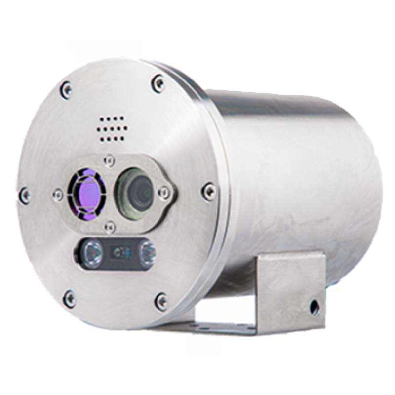 大立DLD-EXS625雙光譜防爆型測溫槍機