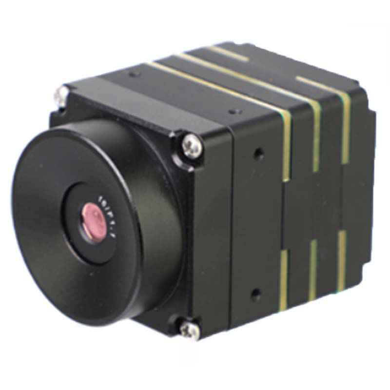 大立TF25ANT在線測溫機芯