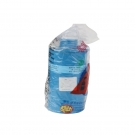 普達(dá)P-H2S-3 8號濾毒罐