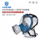 海固HG-800D HG-LV/P-B-2濾毒罐 無機氣體綜合防護防毒面具