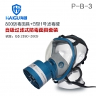 海固HG-800 P-B-3綜合防無機氣體防毒面具