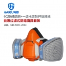 海固HG-602 P-H2S-1半面罩硫化氫防毒面具