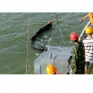 新絡DXS100動態(tài)斜面收油機