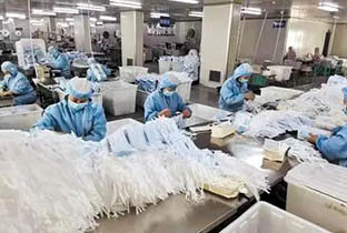 正規(guī)醫(yī)用外科口罩廠家