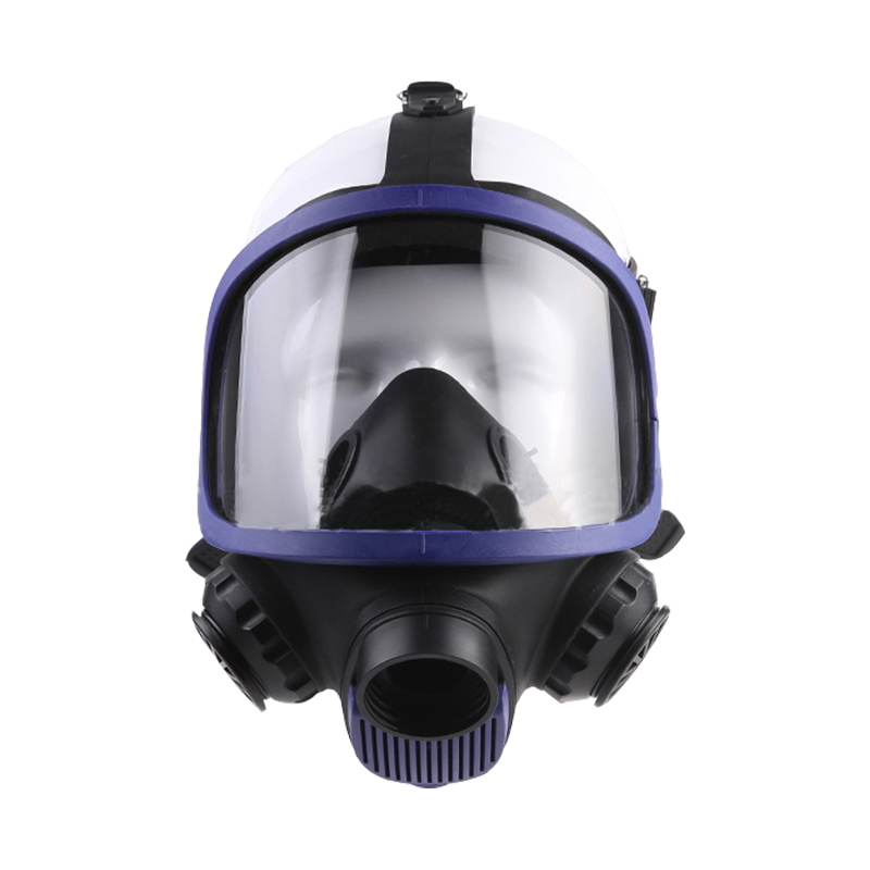 生寶M600防毒面具圖片