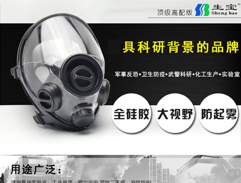 生寶M600防毒面具圖片1