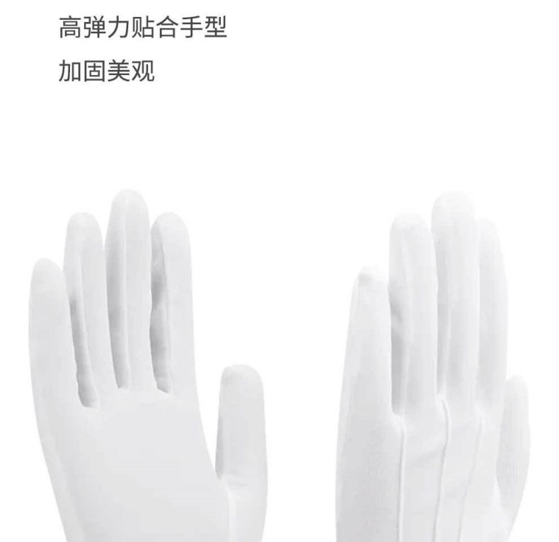 漢盾HD-GP5504滌棉背三筋禮儀勞保手套5