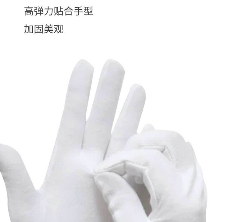 漢盾HD-GP5506純棉白色禮儀勞保手套5