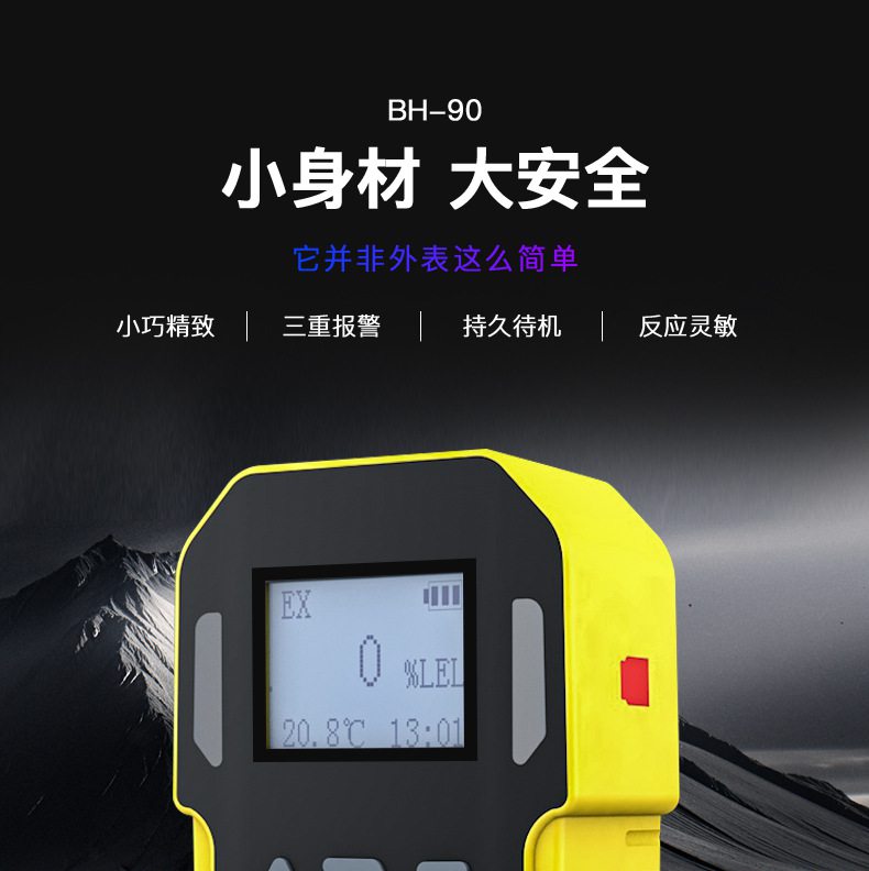保時安BH-90便攜式擴散式單一氣體檢測儀1.jpg