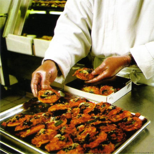 Ansell安思爾850FreshTouch一次性PVC手套