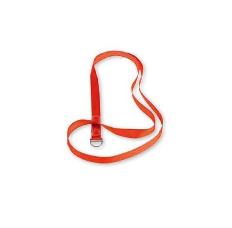 代爾塔507022環(huán)形扁帶