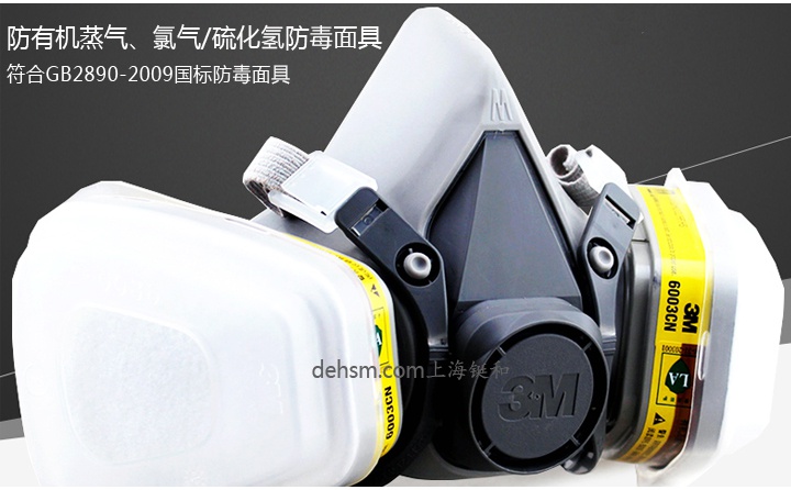 3M6200+6003防有機(jī)及酸性氣體防毒面具