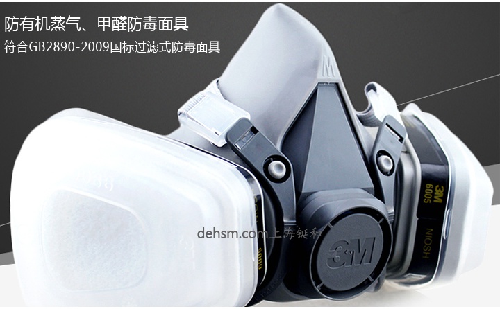 3M6200+6005防有機氣體及甲醛防毒面具