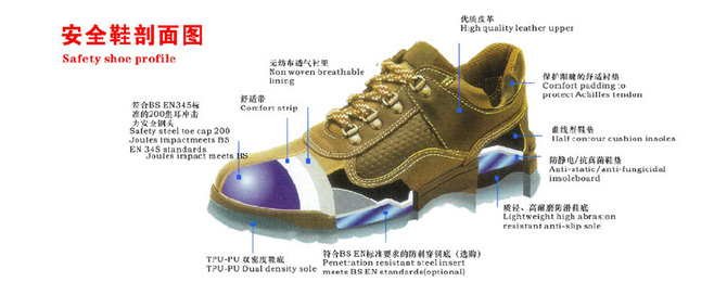 安全鞋剖析圖片