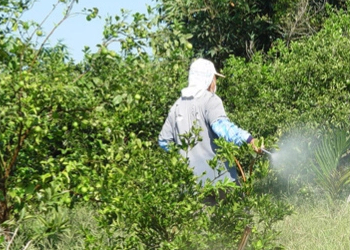 噴灑農(nóng)藥過程中的個(gè)人防護(hù)