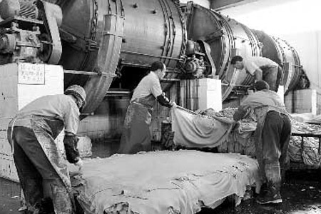 皮革制造企業(yè)的工人沒戴任何防護(hù)用品對廢舊皮革進(jìn)行加工切割