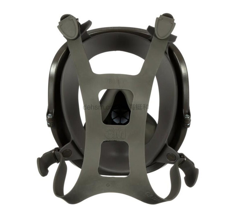 3M6800DIN全面罩防毒面具圖片-反面