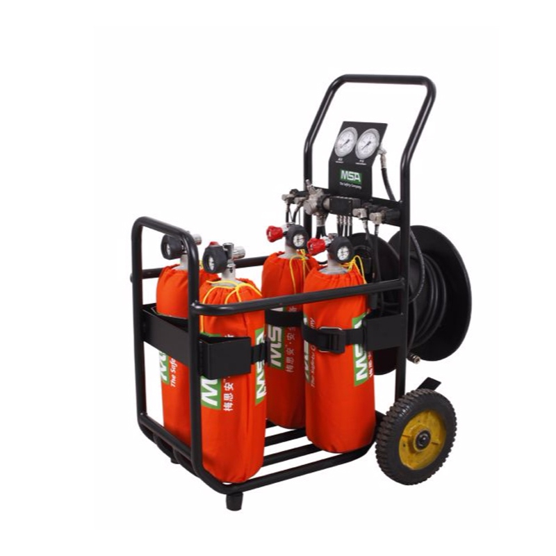 梅思安10144029移動式供氣源圖3